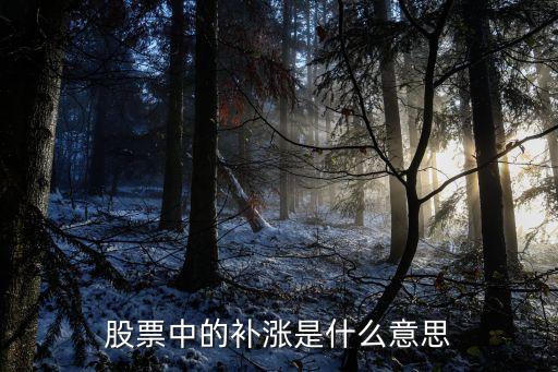 股票中的补涨是什么意思