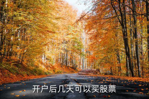 开户后几天可以买股票