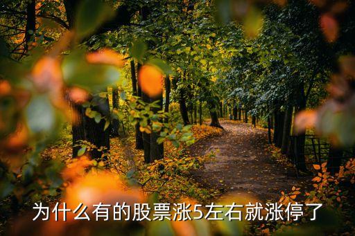 为什么有的股票涨5左右就涨停了