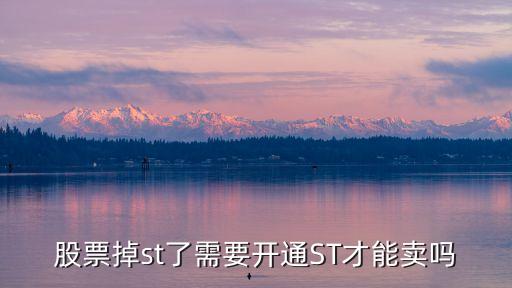 退市股票要开通什么权限，如何参与深交所退市整理期股票的交易