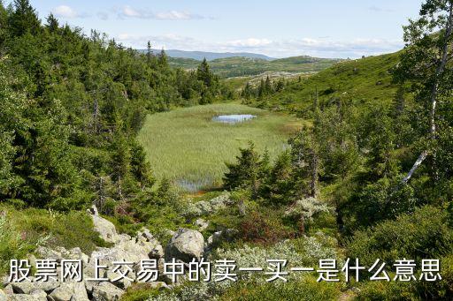 股票中的买一是什么意思，股票的买一或卖一是什么意思如何更好的理解