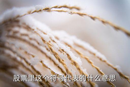 股票这个符号是什么意思，股票里这个符号代表的什么意思
