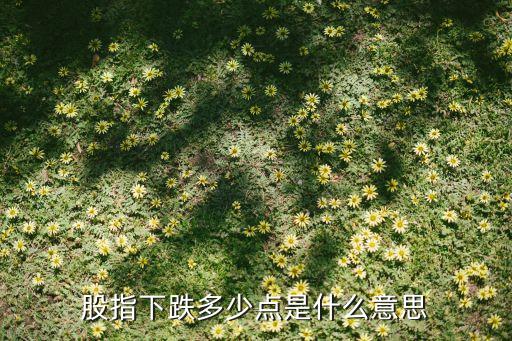 股指下跌多少点是什么意思