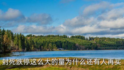 封死跌停这么大的量为什么还有人再买