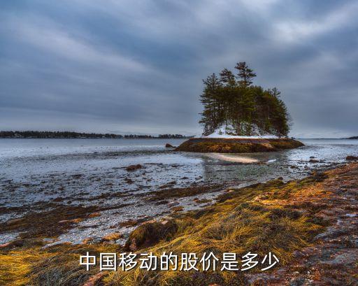 中国移动的股价是多少