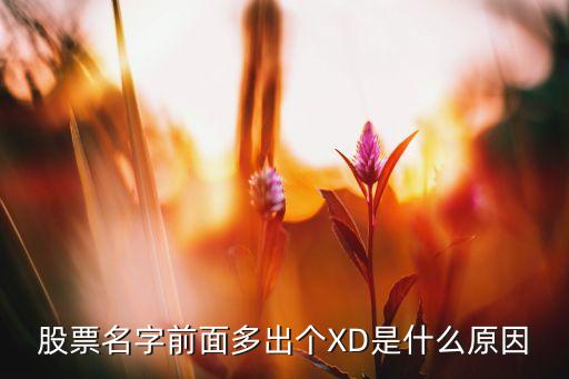 股票名字前面多出个XD是什么原因