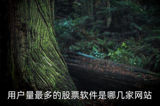 什么网站最多人看股票交易，哪些财经网股民比较多