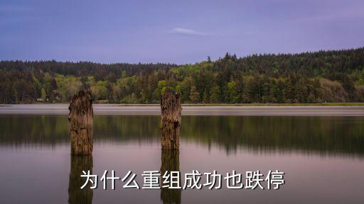 重组股票为什么跌停，中国铝业重组后为什么跌停