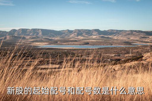 新股的起始配号和配号数是什么意思