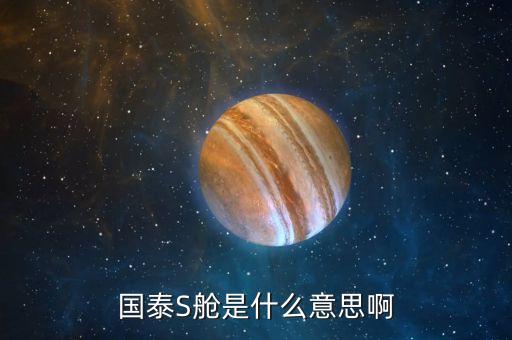 国泰S舱是什么意思啊