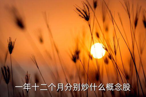 历年1月份炒什么股票，一年十二个月分别炒什么概念股