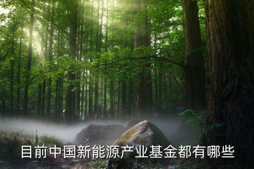 目前中国新能源产业基金都有哪些