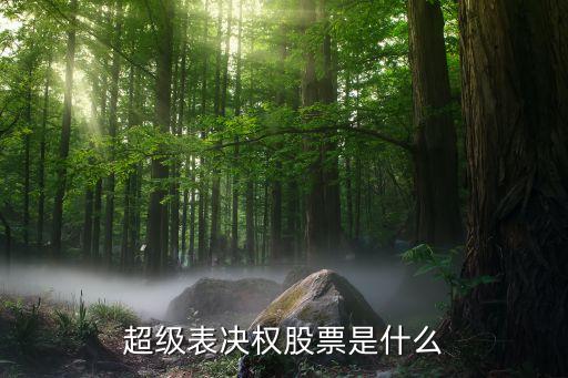 超级机构增持的股票叫什么，上海纯B股的股票有哪些