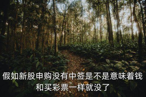 假如新股申购没有中签是不是意味着钱和买彩票一样就没了