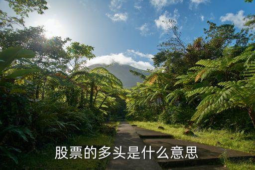 股票的多头是什么意思