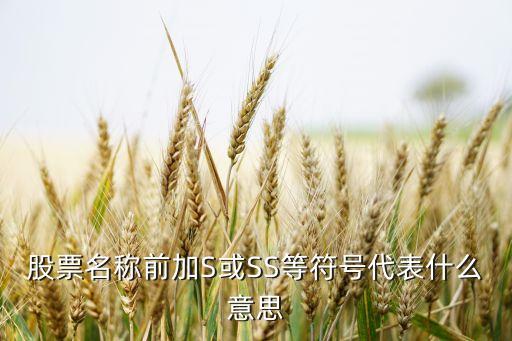 股票名称前加S或SS等符号代表什么意思