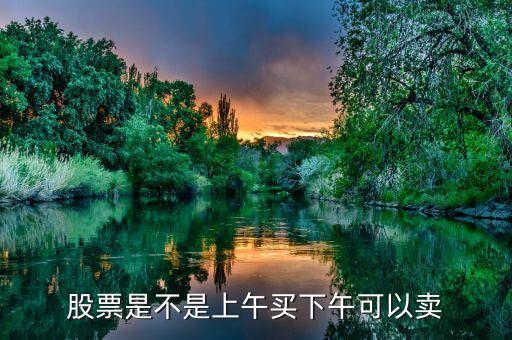 股票是不是上午买下午可以卖