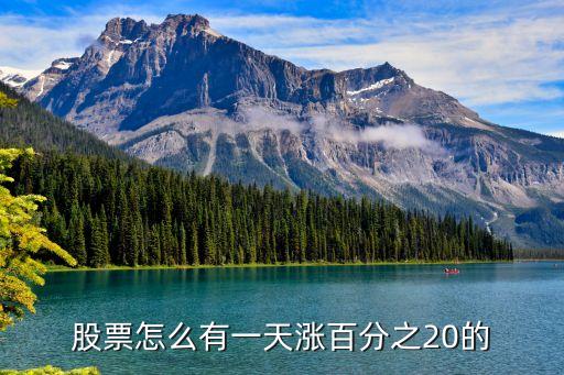 股票怎么有一天涨百分之20的