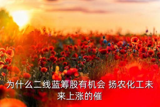 为什么二线蓝筹股有机会 扬农化工未来上涨的催