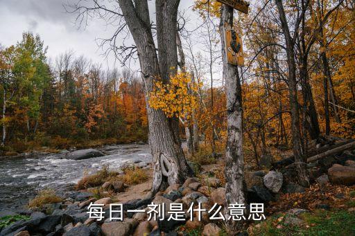 每日一剂是什么意思