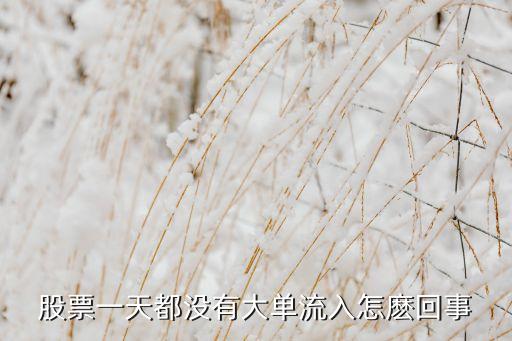 股票一天都没有大单流入怎麽回事
