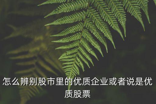 怎么辨别股市里的优质企业或者说是优质股票