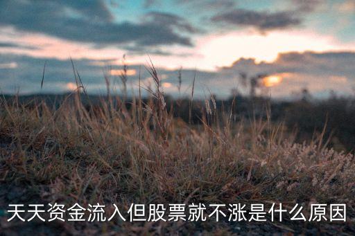 天天资金流入但股票就不涨是什么原因