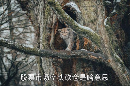 股票市场空头砍仓是啥意思