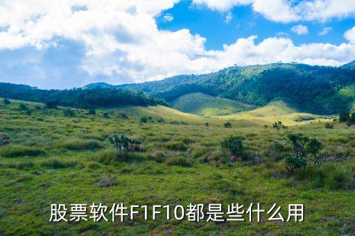 股票软件F1F10都是些什么用