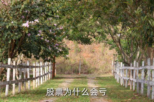 股票为什么会亏