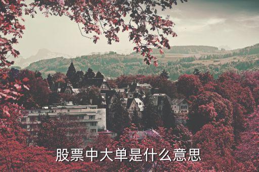 股票中大西门什么意思，股票中大单是什么意思