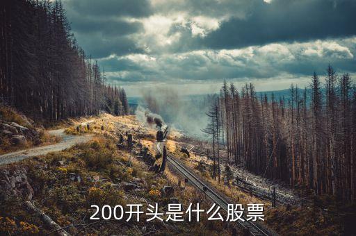 200开头是什么股票