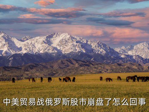 俄罗斯打仗股票为什么会跌，在经济危机中俄罗斯的股市跌幅之大实在惊人具体是何种原因呢