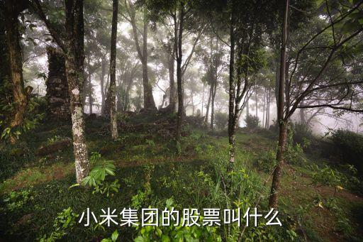 小米集团的股票叫什么