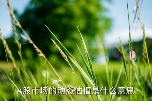 A股市场的动态估值是什么意思
