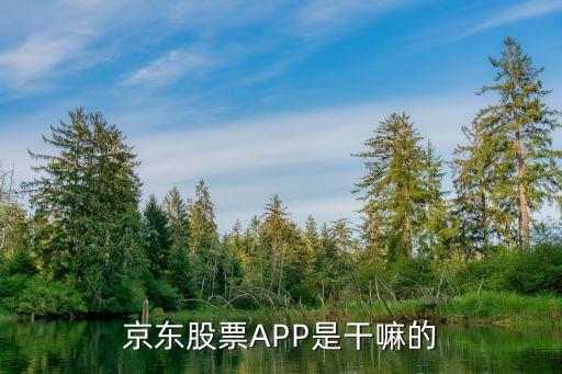 京东股票APP是干嘛的