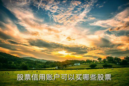 股票信用账户可以买哪些股票