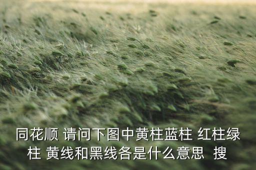 同花顺 请问下图中黄柱蓝柱 红柱绿柱 黄线和黑线各是什么意思  搜