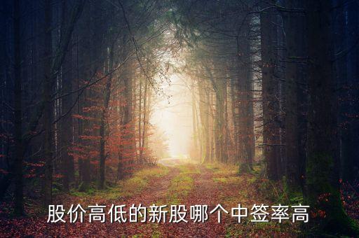 什么股票中签率高一点，股价高低的新股哪个中签率高