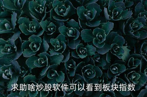 求助啥炒股软件可以看到板块指数