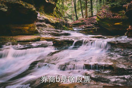 券商b是啥股票
