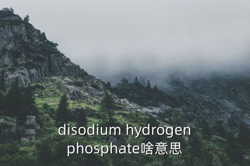 disodium hydrogenphosphate啥意思