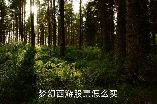 梦幻西游股票怎么买