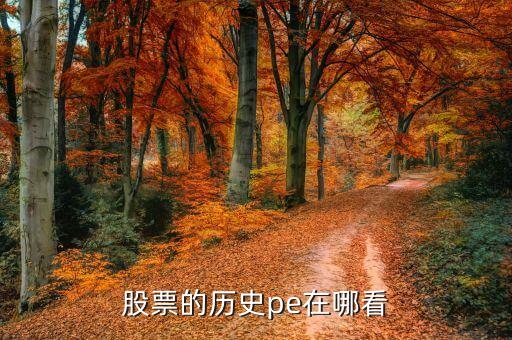股票的历史pe在哪看