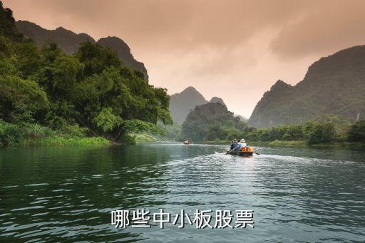 哪些中小板股票