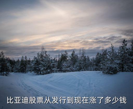 比亚迪股票3年前什么价，比亚迪股票2012年价格最低