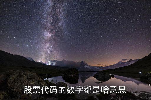 股票代码的数字都是啥意思