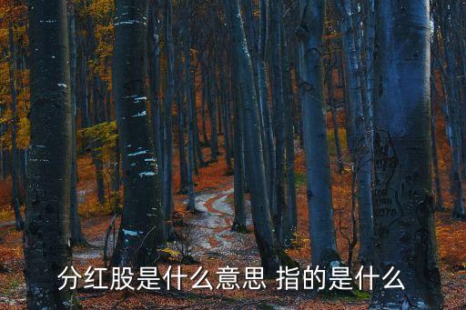 分红股是什么意思 指的是什么