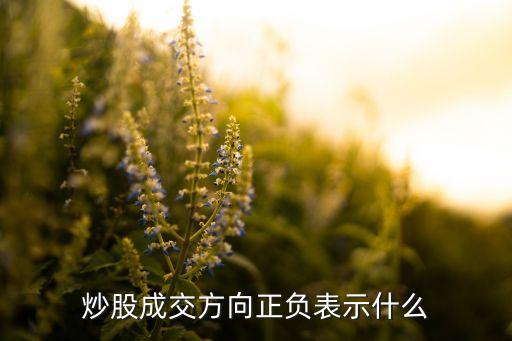 炒股成交方向正负表示什么
