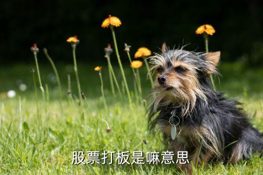 股票打压板是什么意思啊，股票中说的打板是什么意思